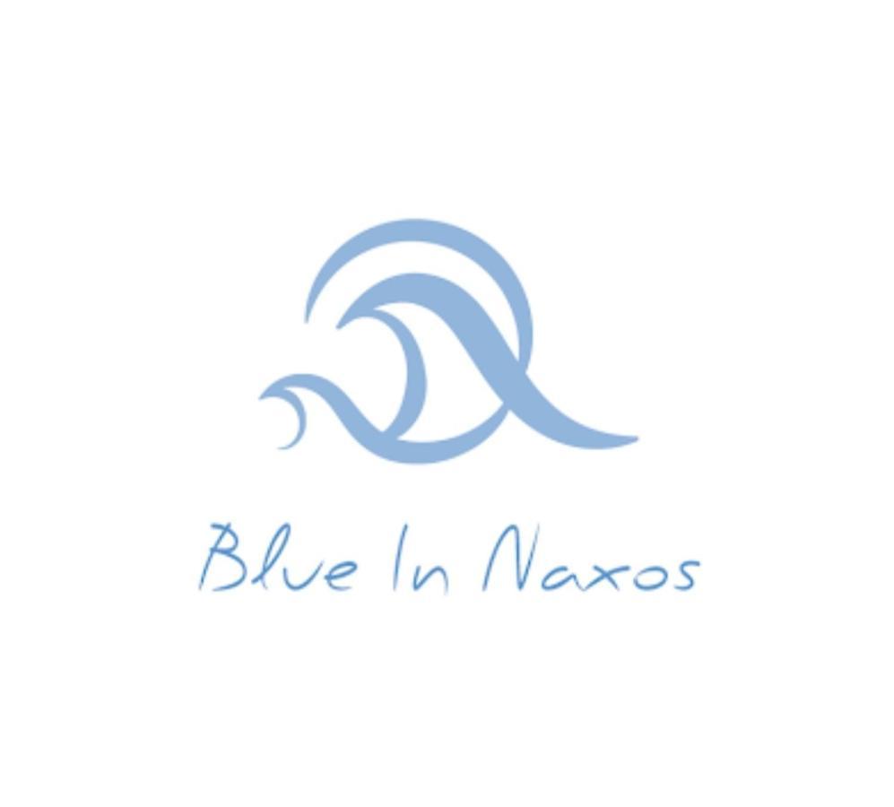 Blue In Naxos Hotel Naxos City Екстериор снимка